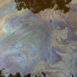 An oily film is seen in a flooded street in the Brisbane suburb of Toowong