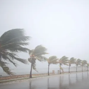 Irma