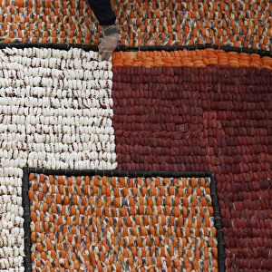 Participant arranges sushi to create mosaic during 10th anniversary of a sushi chain