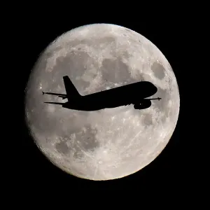 Prints of : Moonlight