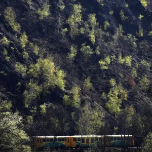 A passenger train travels past a growth of trees near the Czech capital Prague A passenger train travels past a growth of trees near the Czech capital Prague