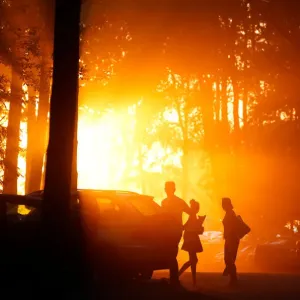People are seen during sunset in a forest on the outskirts of Minsk People are seen during sunset in a forest on the outskirts of Minsk