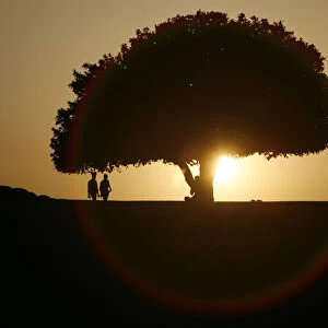 People are silhouetted against the setting sun at a park in New Delhi