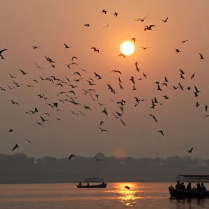 People travel in boats as sun sets for last time in 2008 in Allahabad