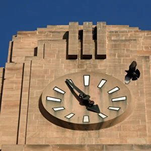 A pigeon flies past a stopped clock on the Lakshmi Building in Karachi