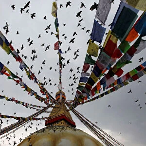 Pigeons take flight at Boudhanath Stupa during Vesak Day in Kathmandu