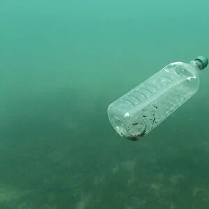 A plastic bottle is seen floating in an Adriatic sea of the island Mljet