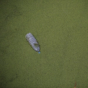 A polluted river is seen in Shanghai