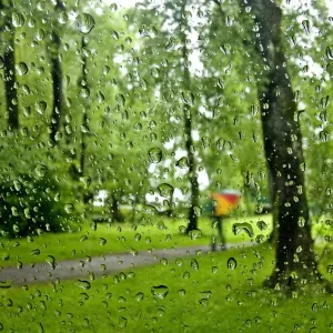 Raindrops are pictured on a car windscreen as person walks in a park on a rainy day