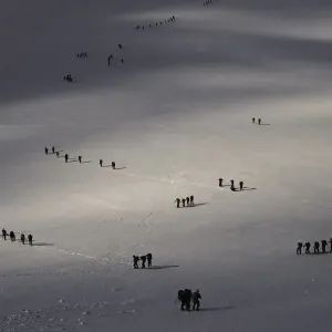 Immigration