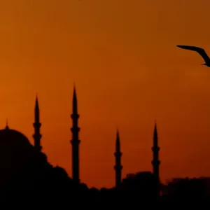 A seagull flies over the Bosphorus as the sun sets over the Suleymaniye mosque in A seagull flies over the Bosphorus as the sun sets over the Suleymaniye mosque in