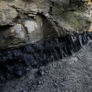 A section of coal is exposed in the rock face lining a road in Partridge, Kentucky