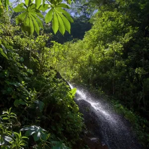Peru