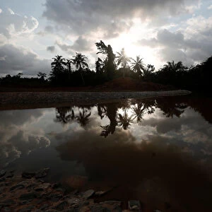 A small lake reflecting palm trees is pictured in Nsuaem district