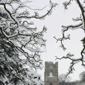 Snow hangs on trees in front of Fountains Abbey in Ripon