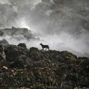 Pollution