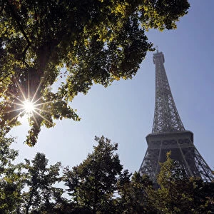 The sun shines through tree leaves near the Eiffel Tower on a warm autumn day in Paris