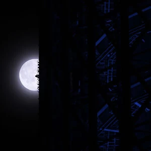 A super moon is seen next to Tokyo Sky Tree, the worlds tallest broadcasting tower at 634 metres