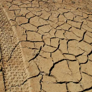 Tracks left by a vehicle remain on the cracked earth of the drought-stricken Entrepenas