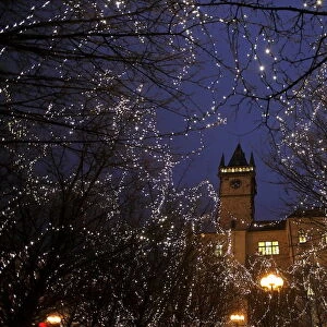 Trees are illuminated in front of The Old Town Hall tower as the traditional Christmas