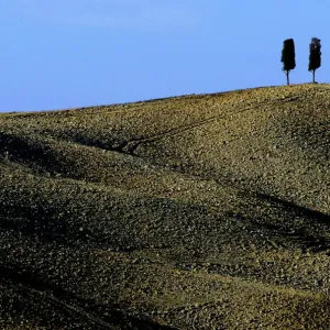 A typical landscape in the Val d Orcia close to the Tuscan town of Montalcino A typical landscape in the Val d Orcia close to the Tuscan town of Montalcino