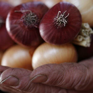 A vendor holds a string of onions at his stall at the annual Zibelemaerit onion