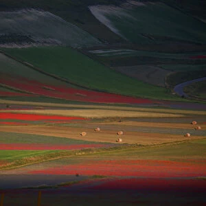 A view of fields of flowers during the annual blossom in Castelluccio di Norcia near