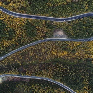 A view shows a highway in the Siberian Taiga area outside Krasnoyarsk