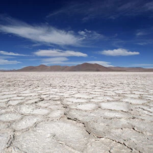 A view of the surface of the salt flat at Salar del Hombre Muerto