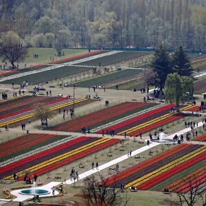 Visitors walk inside Kashmirs tulip garden in Srinagar