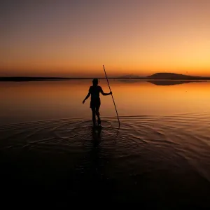 A volunteer wades across the lagoon at dawn to gather flamingo chicks and place them A volunteer wades across the lagoon at dawn to gather flamingo chicks and place them