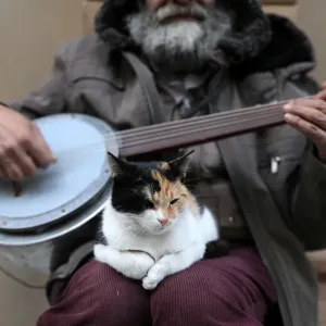 The Wider Image: Istanbul: city of cats The Wider Image: Istanbul: city of cats