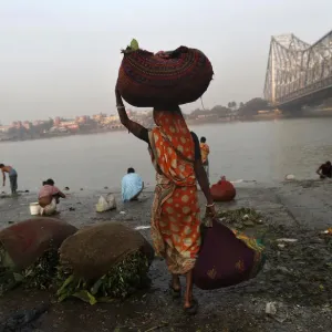 A woman carries sacks of leaves, which will be used to decorate flower bouquets, to A woman carries sacks of leaves, which will be used to decorate flower bouquets, to