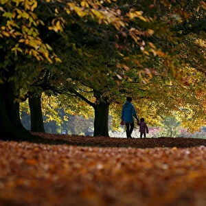 A woman and child walk through fallen leaves in Clarkes Gardens in Liverpool