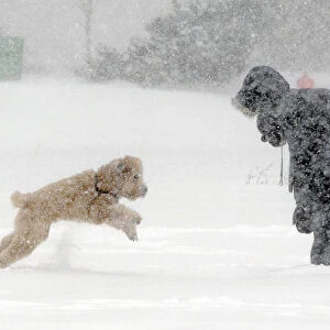 A woman and her dog brave the elements during a winter storm in Halifax, Nova Scotia