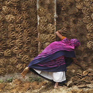 A woman pastes cow dung cakes on a wall for drying in Allahabad