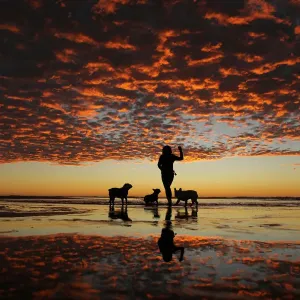 A woman plays with her three dogs at the beach after sun set in Del Mar, California A woman plays with her three dogs at the beach after sun set in Del Mar, California