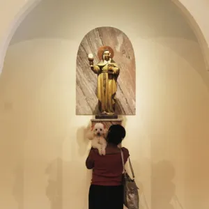 A woman prays as she holds her dog, after getting it blessed by a priest A woman prays as she holds her dog, after getting it blessed by a priest
