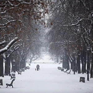A woman walks with her dog during snowfall at a park in downtown Sofia