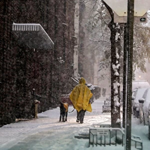 A woman walks her dog in a snowstorm in Manhattan in New York City