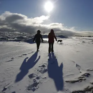 Two women walk their dogs along a frozen snow covered beach in Chicago Two women walk their dogs along a frozen snow covered beach in Chicago