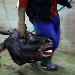 A worker carries a cows head at Cakung slaughterhouse in Jakarta