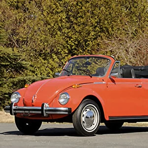 Volkswagen VW Classic Beetle Cabrio