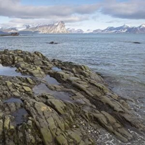 View of rocky fjord coastline with distant mountains, Hornsund, Spitsbergen, Svalbard, August