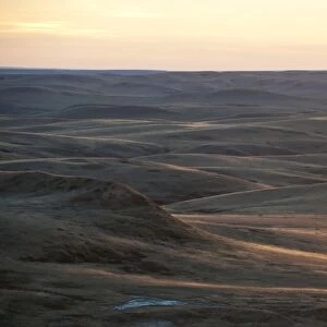 View of shortgrass prairie habitat, East Bloc, Grasslands N. P. Southern Saskatchewan, Canada, october