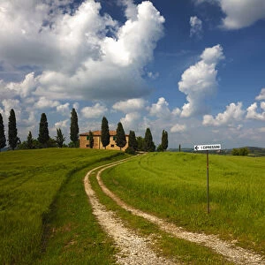 Europe; Italy; Tuscany; Pienza; Road Leading to Villa with Wheat Fields
