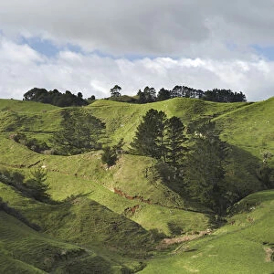 Farmland near Inglewood, Taranaki, North Island, New Zealand