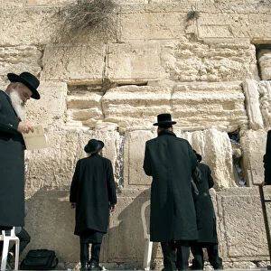 Israel, Jerusalem. Jewish orthodox men pray at the Western Wall in Jerusalem