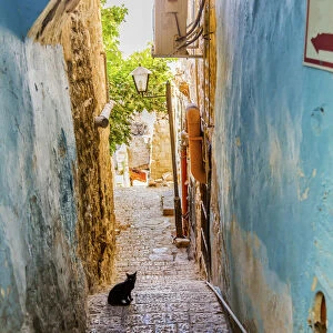 Old Stone Street Alleyway Black Cat Safed Tsefat Israel Many famouse synagogues