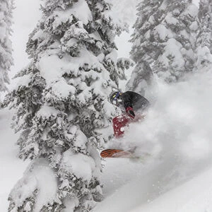 Snowboarding in powder at Whitefish Mountain Resort, Montana, USA MR